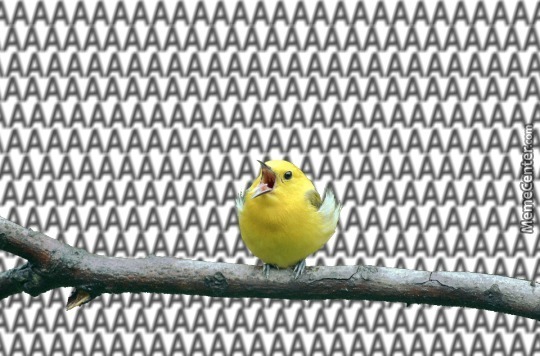 yellow-bird-with-beak-open-while-perched-on-branch-with-background-of-capital-letter-a