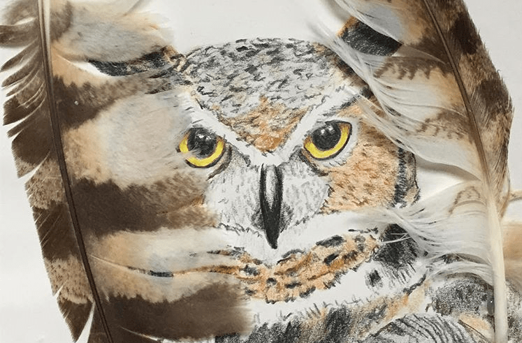 colored-pencil-drawing-of-great-horned-owl-with-feathers-framing-sides-of-paper