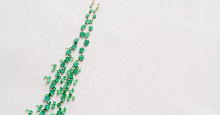 green-vine-climbing-white-wall