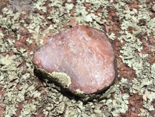 piece-of-quartz-on-rock-with-dried-moss