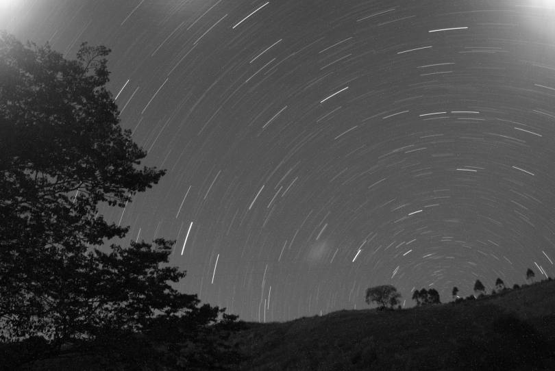 Time-lapse photography in black and white of stars appearing to rotate in the sky over silhouetted trees
