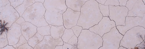 photo of desert ground with interlocking cracks and dry plants