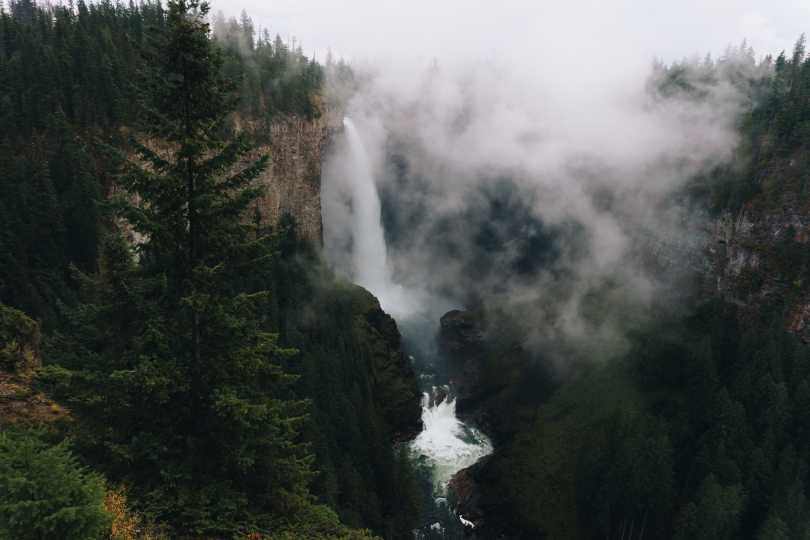 A temperate forest with a large waterfall and misty fog overhead.