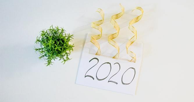 envelope labeled 2020 with golden streamers and small potted plant