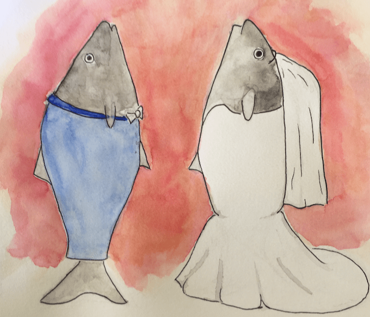 Two grey fish standing upright on their back fins, one wearing a tuxedo and the other wearing a wedding dress.