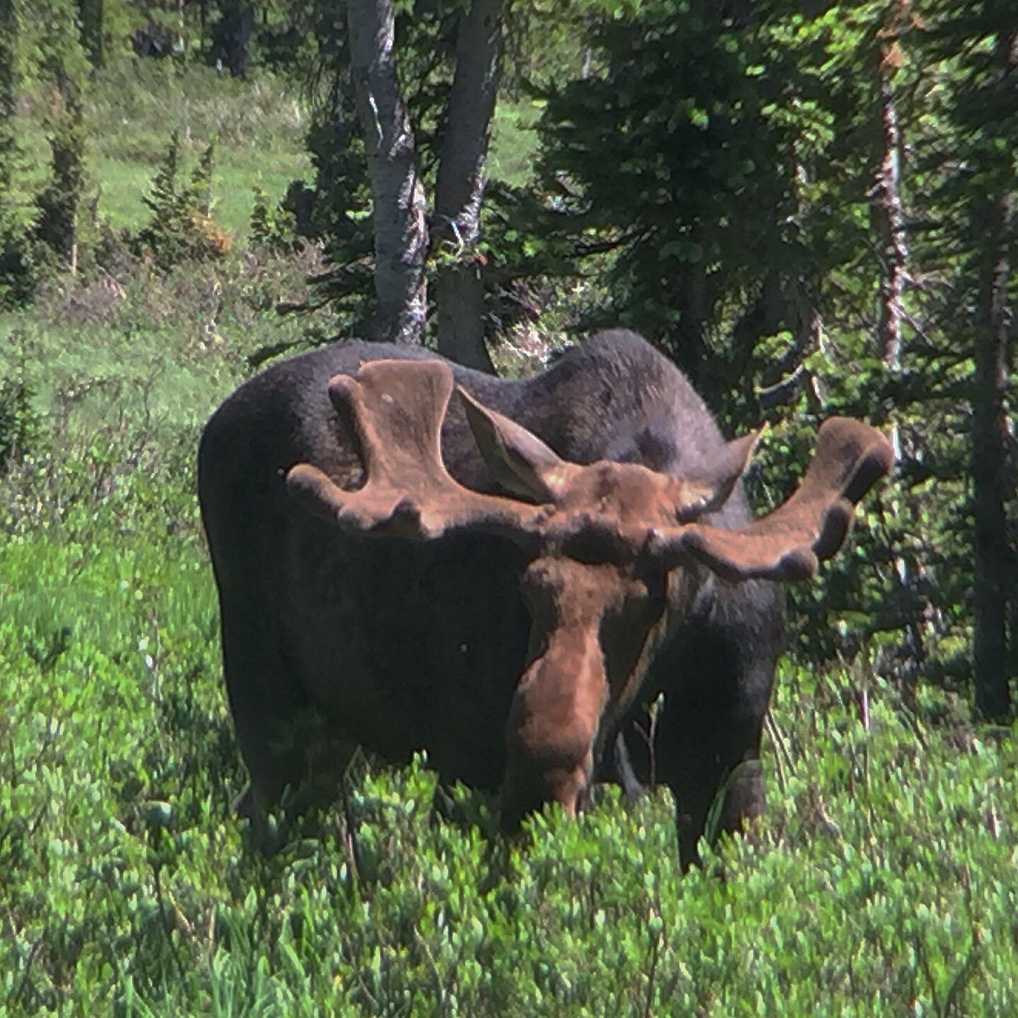 95412280-9BC9-4452-B4BE-E1F108DFE47F