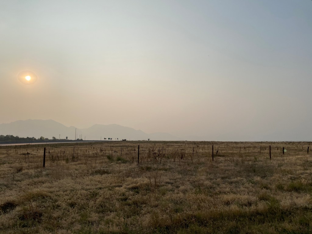 landscape-photo-of-tall-grasses-near-road-going-towards-mountains-shrouded-in-wildfire-smoke