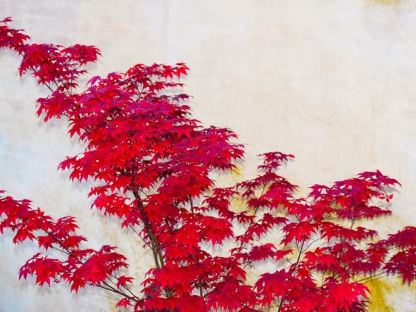 How Psoriasis Affects My Mental&nbsp;Health