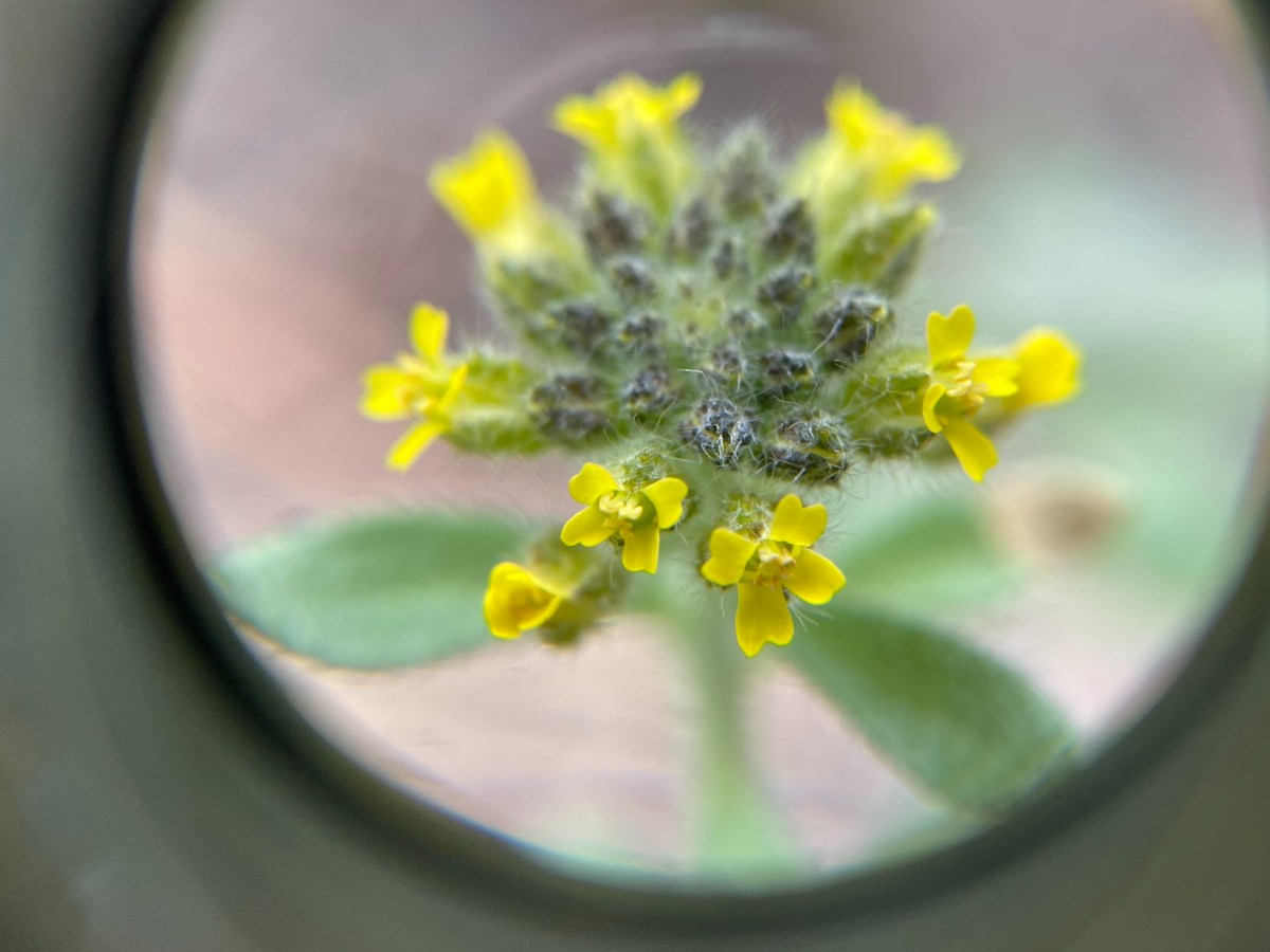 A Strange Effect: The Ketamine Chronicles (Part&nbsp;35)