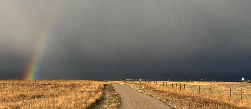 A gravel path going towards a bright rainbow with tall, yellow grass on either side and dark storm clouds in the background