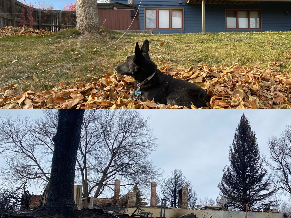 Letting go of Items Found in the Ashes After the Marshall&nbsp;Fire