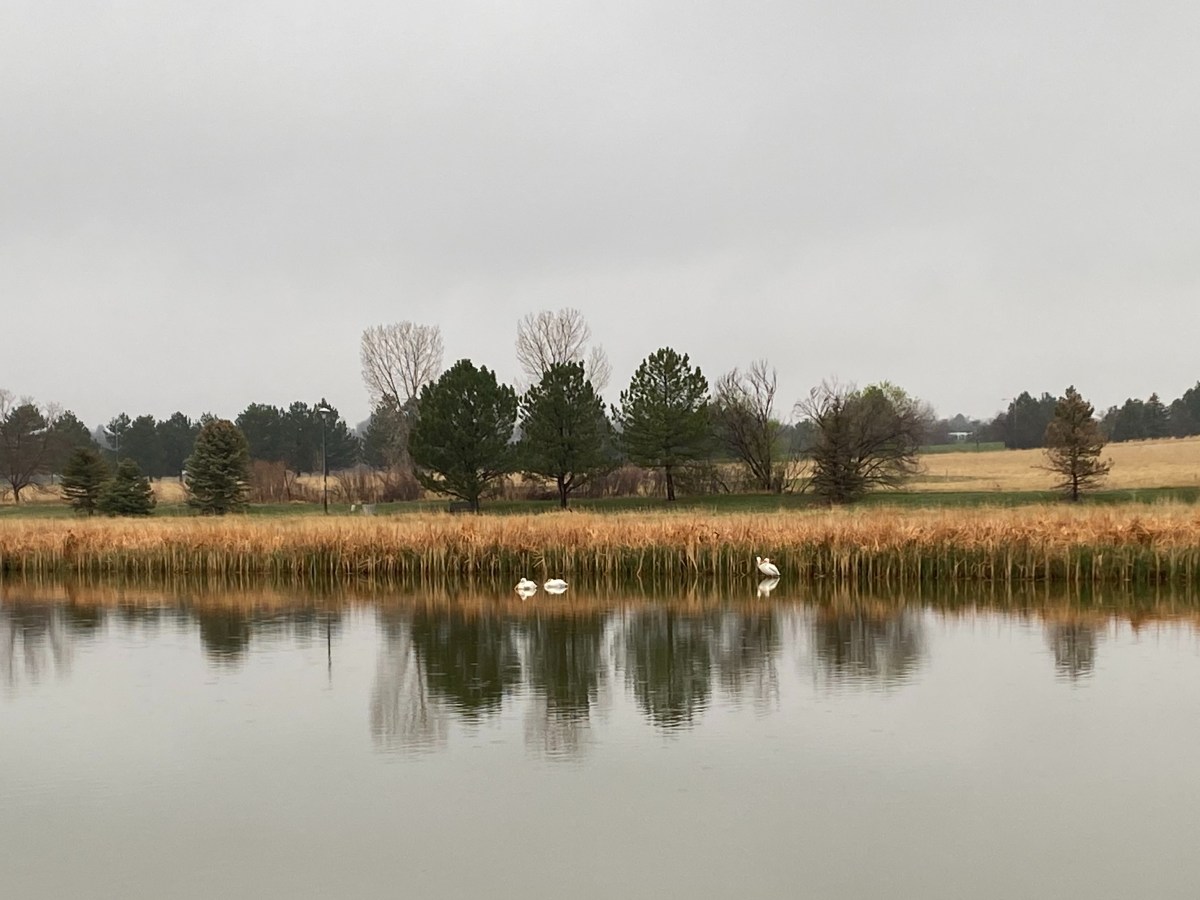 Insomnia and Seeing&nbsp;Spiders