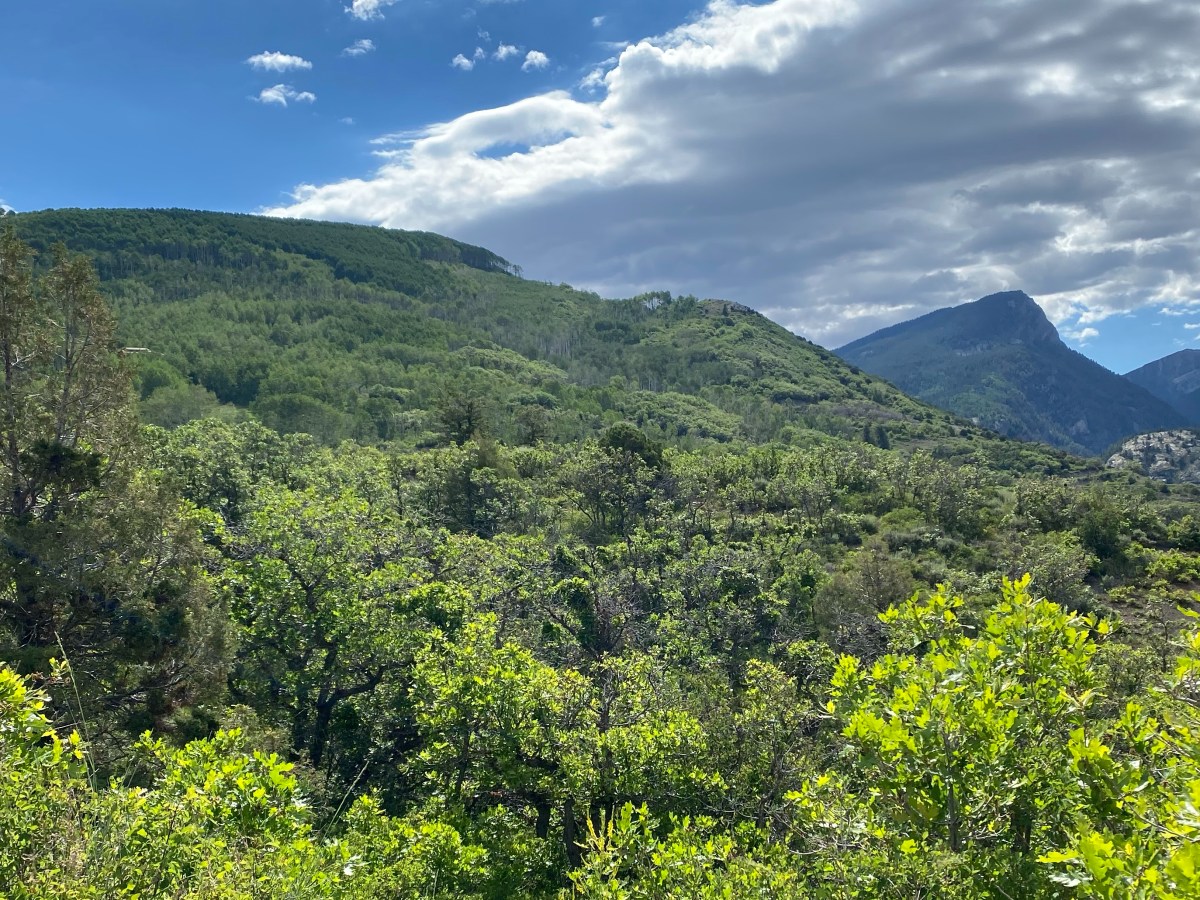 TMS, Seroquel, and Sudden&nbsp;Relief