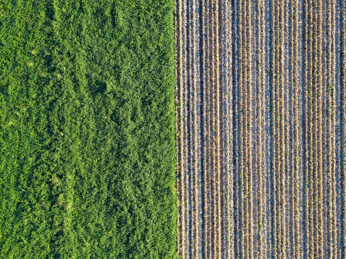 Was I Misdiagnosed? Unipolar vs. Bipolar&nbsp;Depression