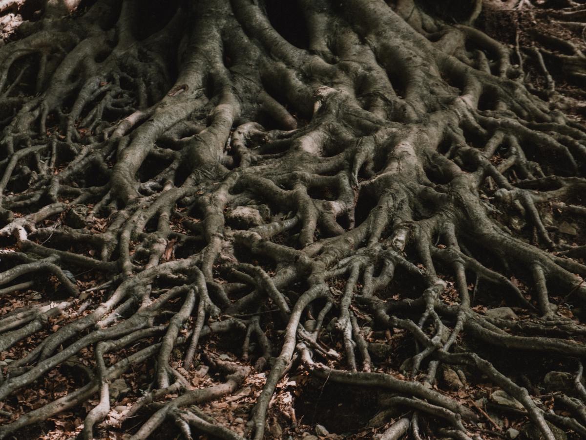 Overthinking and Decision Root&nbsp;Balls