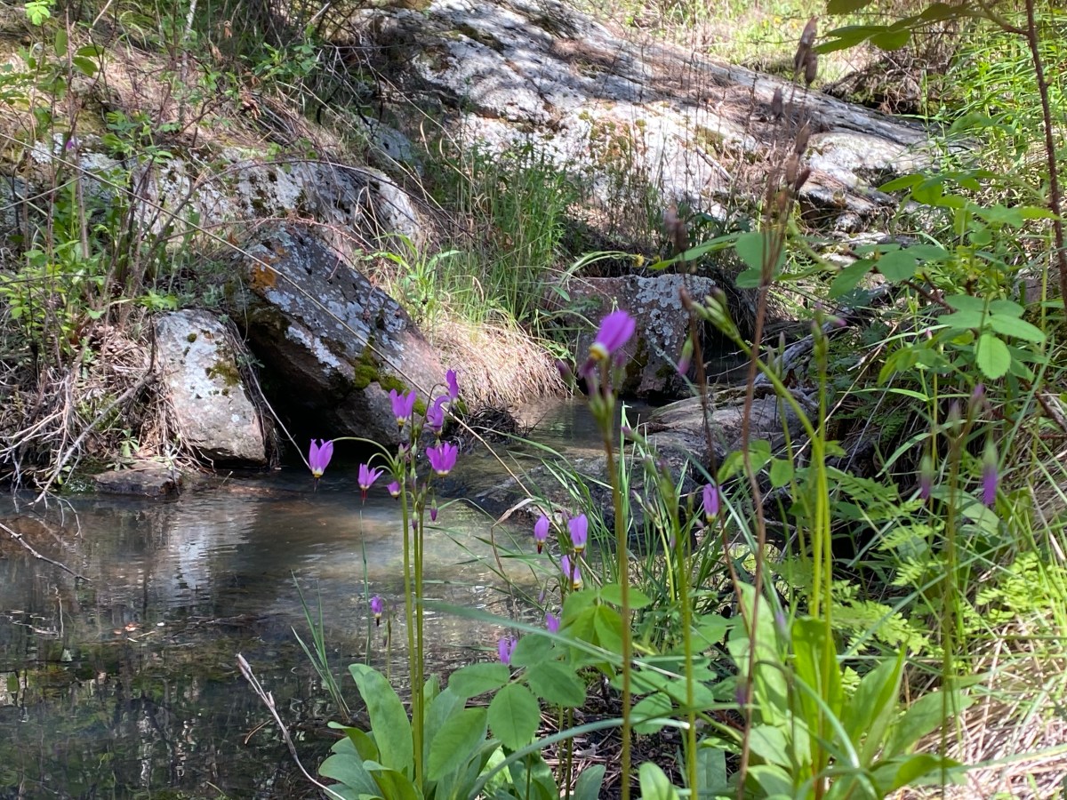 My Mental Health Has Been&nbsp;Good